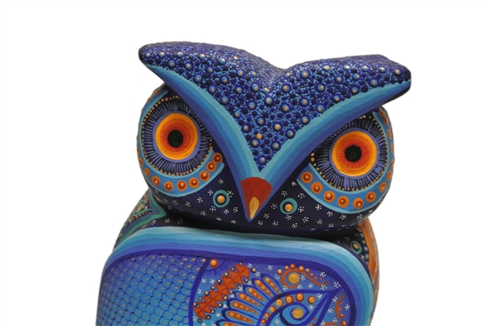 Colorful Blue Owl