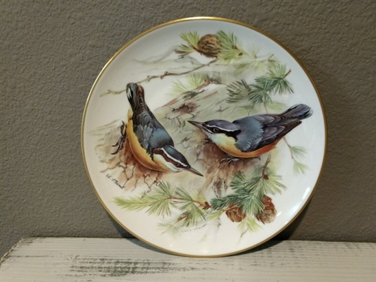Bird Collector Plate Vintage Corsican Nuthatch European Songbirds Collection on Fine China by Tirschenreuth - 1986